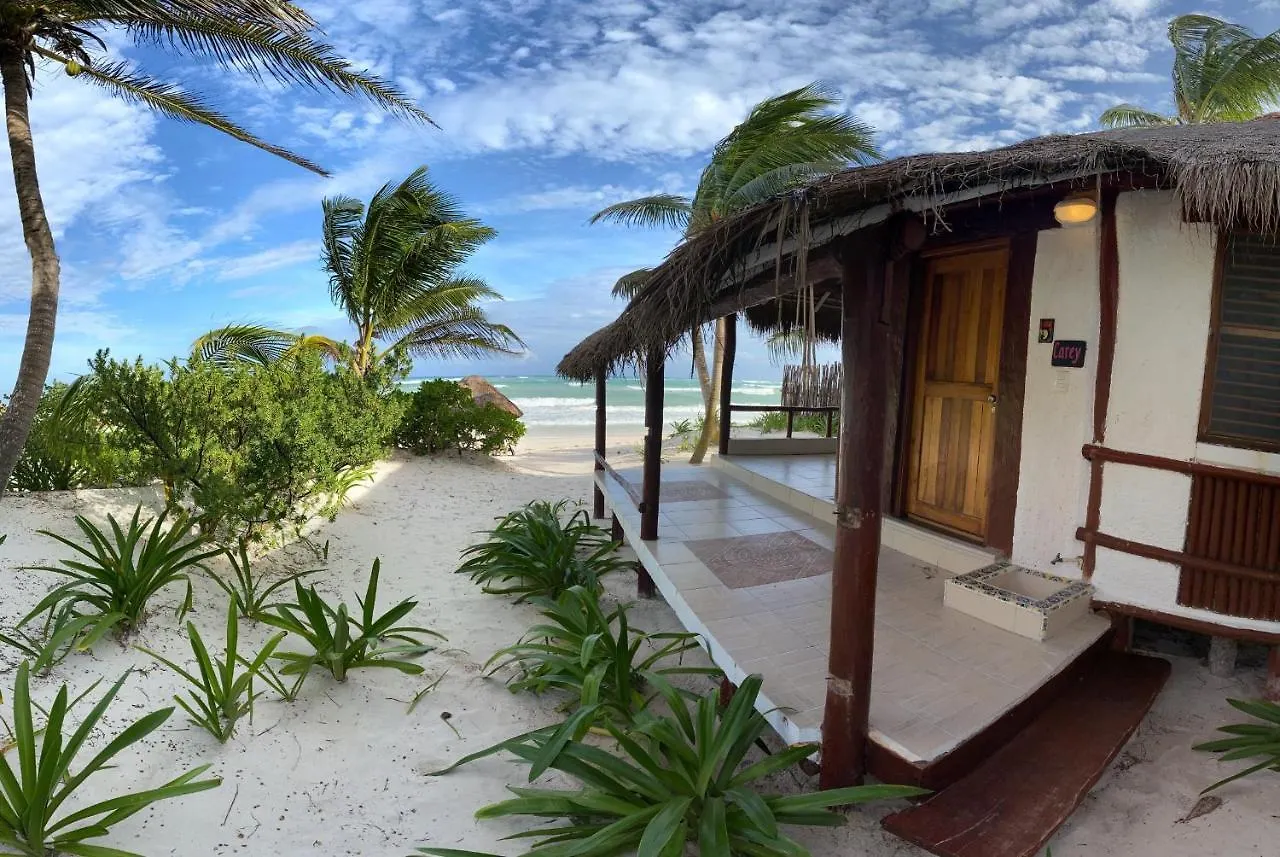 Bt Live Tulum Located At The Party Zone Hotel