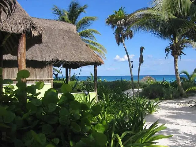 Bt Live Tulum Located At The Party Zone Hotel 4*,  Mexico