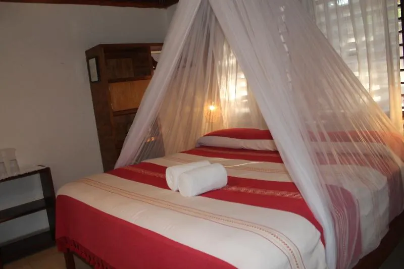 Bt Live Tulum Located At The Party Zone Hotel