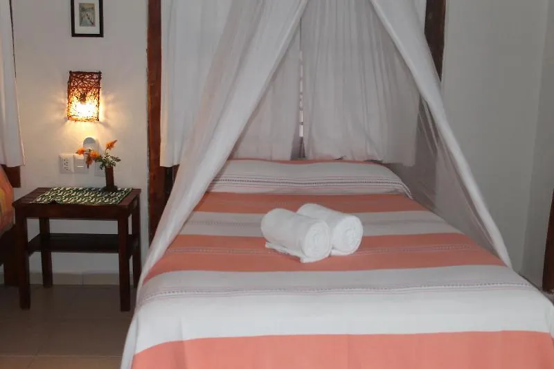 Bt Live Tulum Located At The Party Zone Hotel