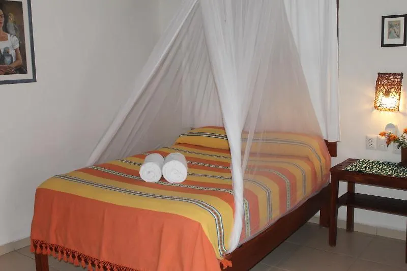 Bt Live Tulum Located At The Party Zone Hotel